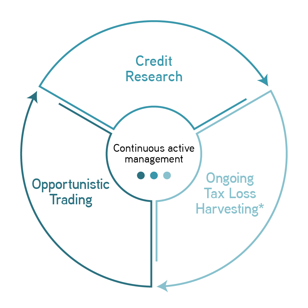 Continuous Active Management wheel graphic